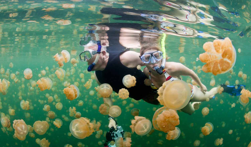 Swimming with jellyfish in Philippines - Fun Things To Do in The Philippines