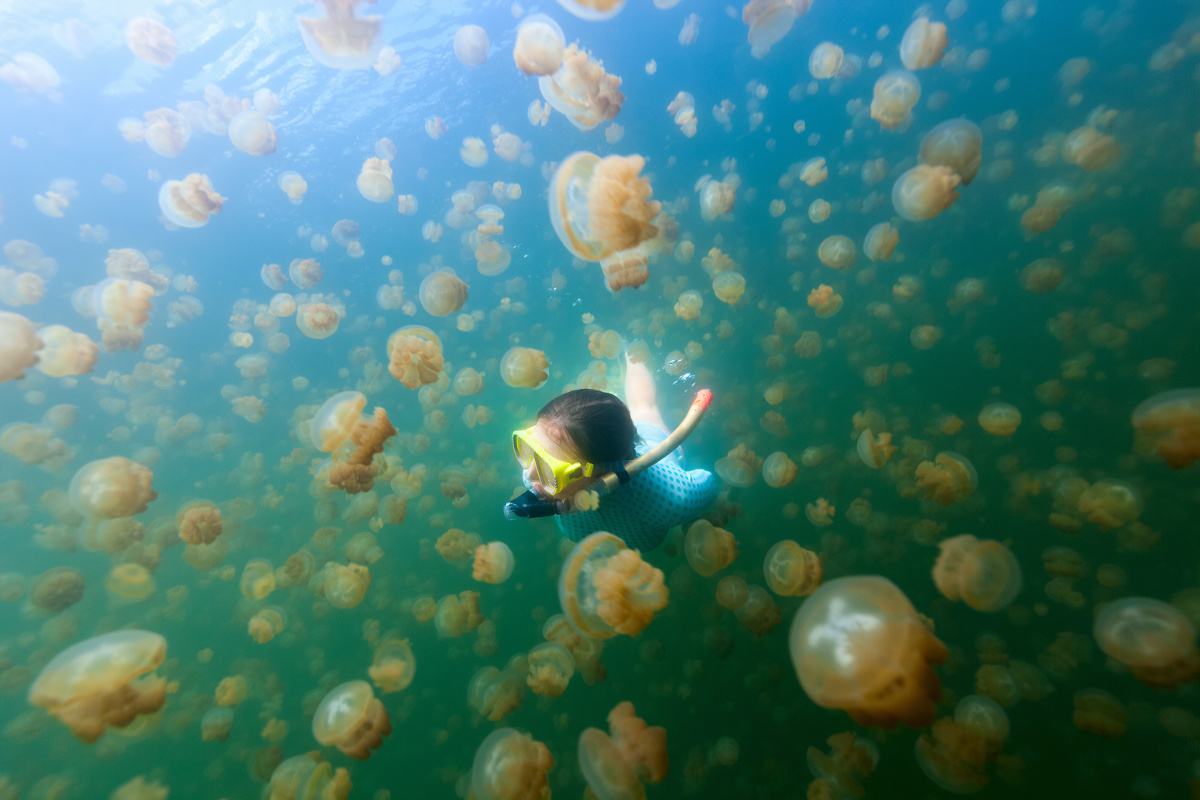 Jellyfish Lake, Palau - Multi-City Trip destinations