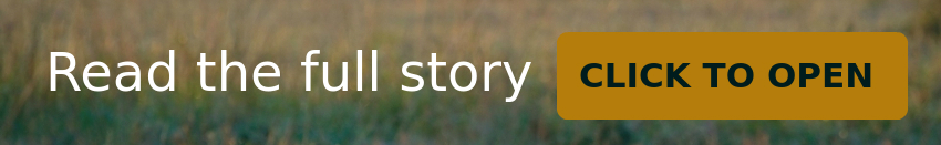 Paolo D’Odorico-story-asaptickets-supports-africa-2-1-1-2-1