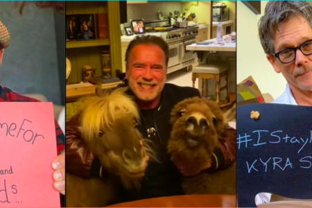 COVID-19 #StayAtHome : Celebrity Fun Videos