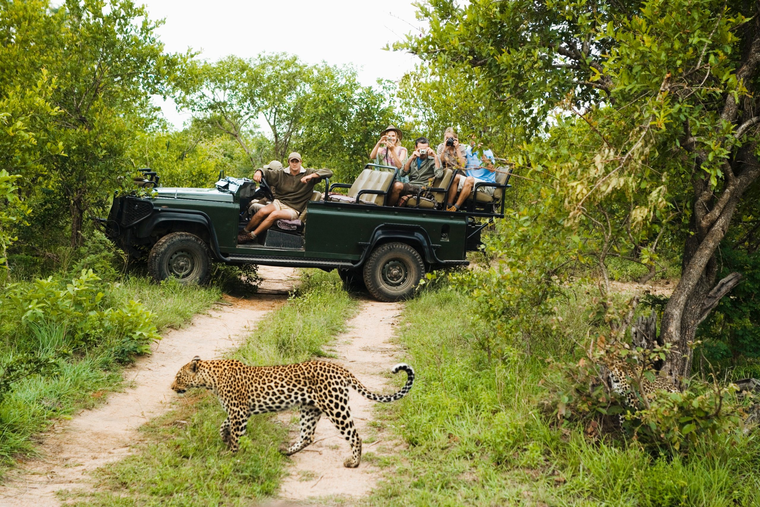 Africa Safari Vacations