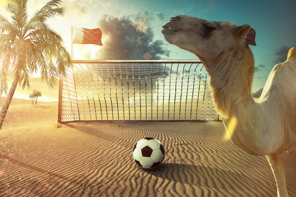 qatar airways world cup packagesqatar airways economy class, qatar Airways