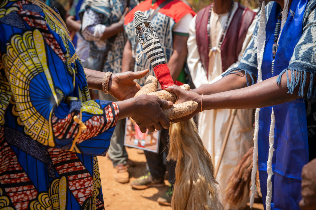 Trip to Cameroon,  Visit Cameroon