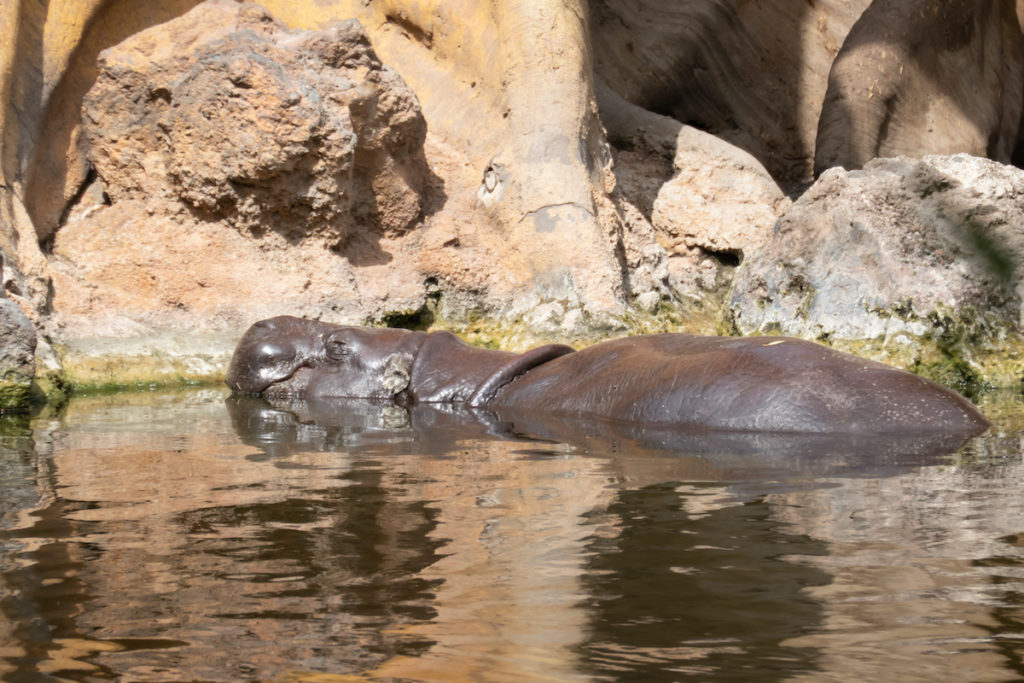 Trip to Sierra Leone. Visit Sierra Leone, flights to Sierra Leone