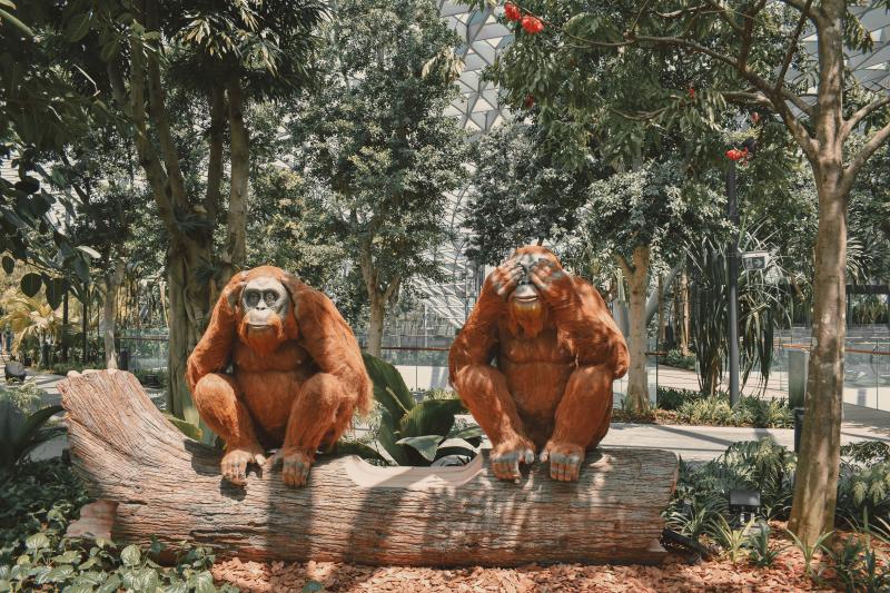 Canopy Park at Changi Airport