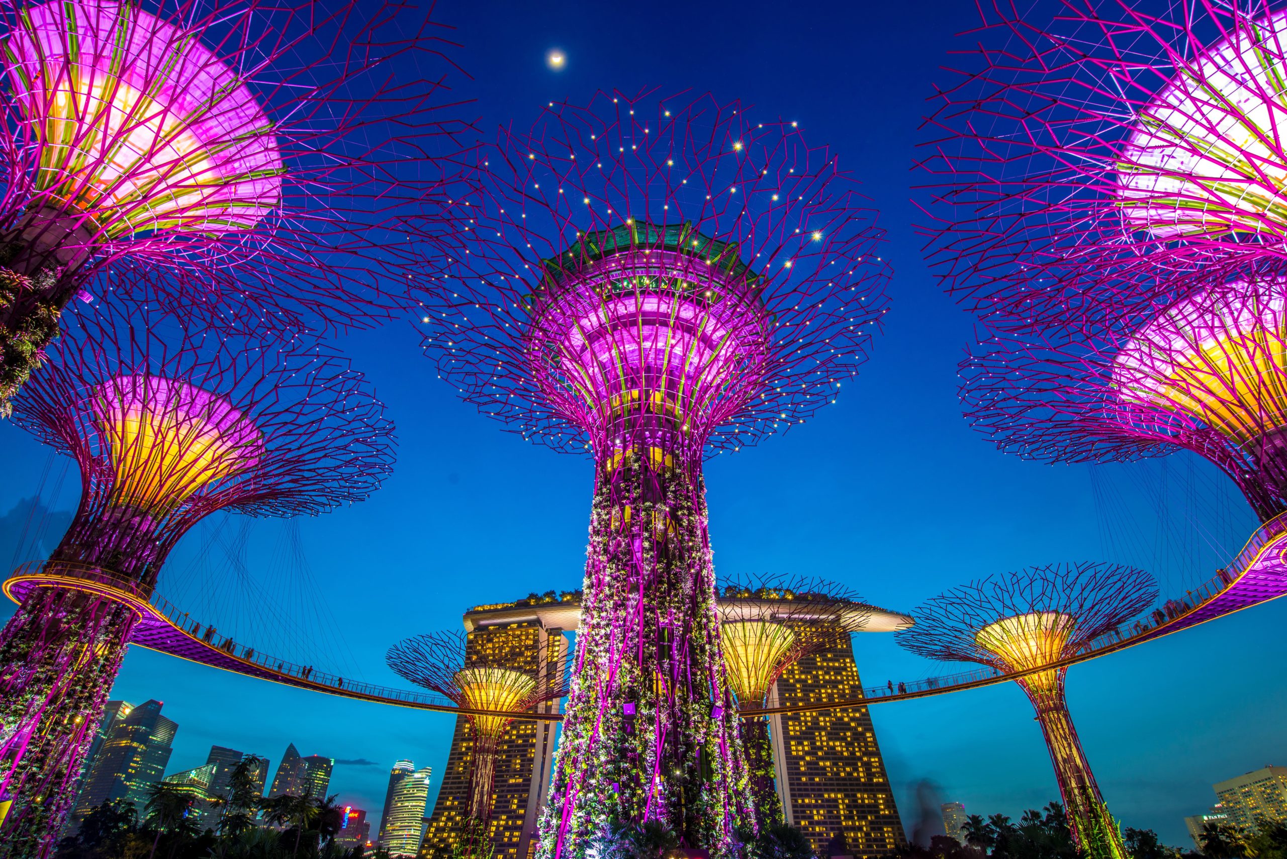 Singapore's stunning Gardens by the Bay