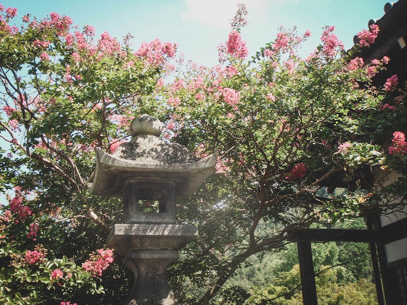 affordable flights to Japan