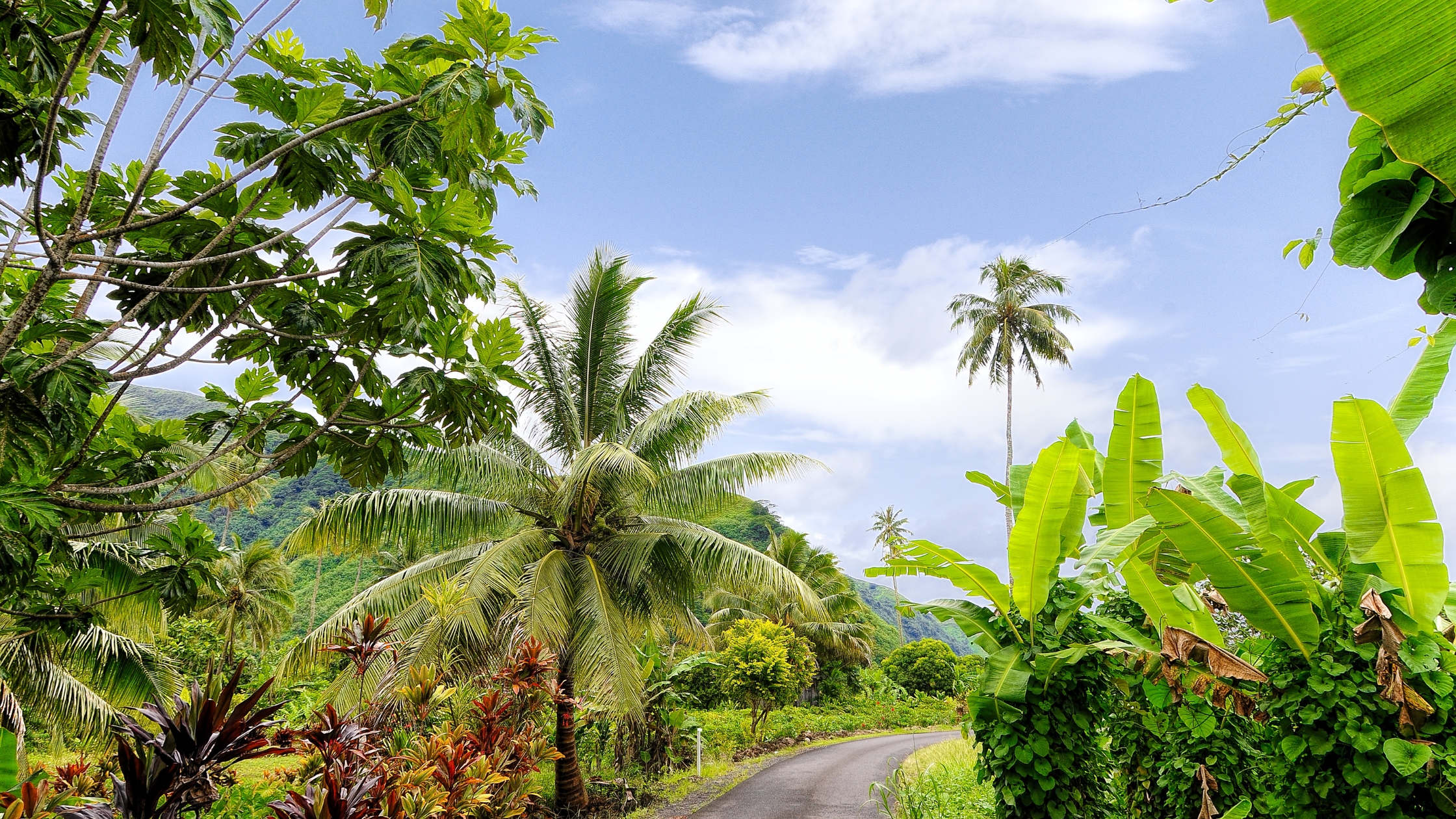 Flights to Tahiti are available from US airports or with a layover