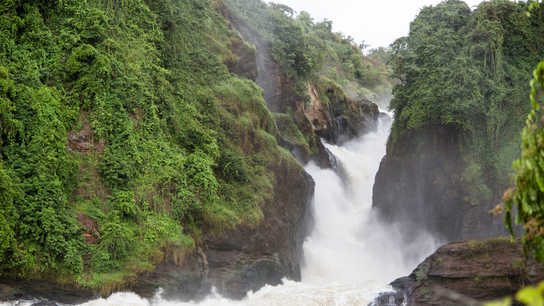 Get cheap flights to Uganda and visit Murchinson Falls
