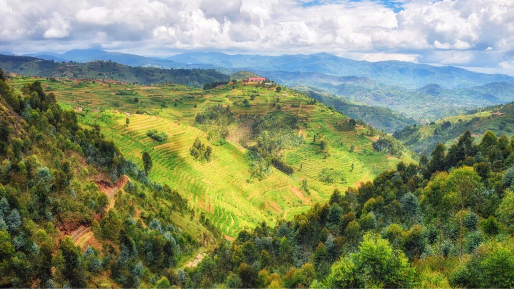 Stunning Rwandan landscapes abound