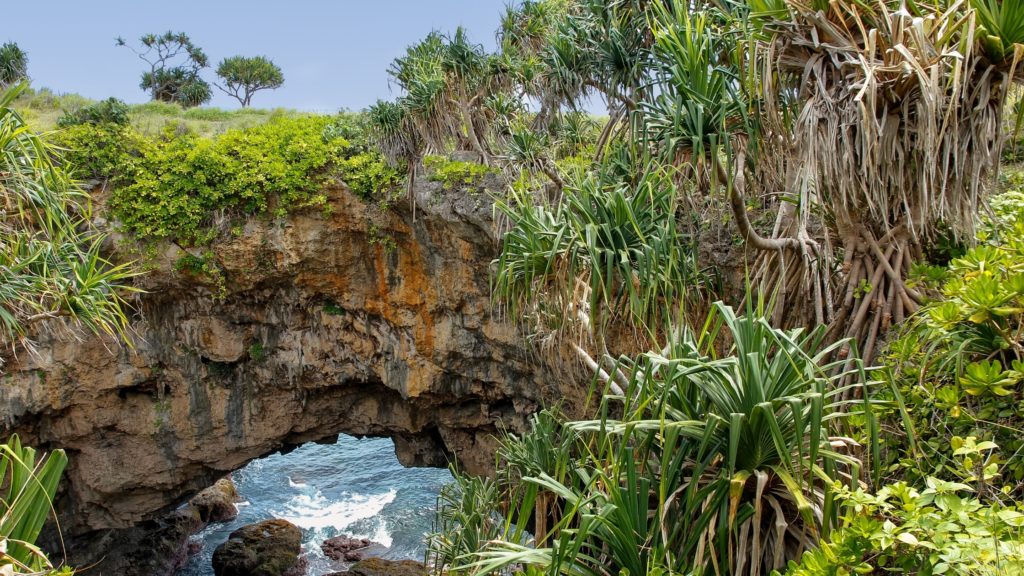 Witness true nature in Tonga like this natural bridge