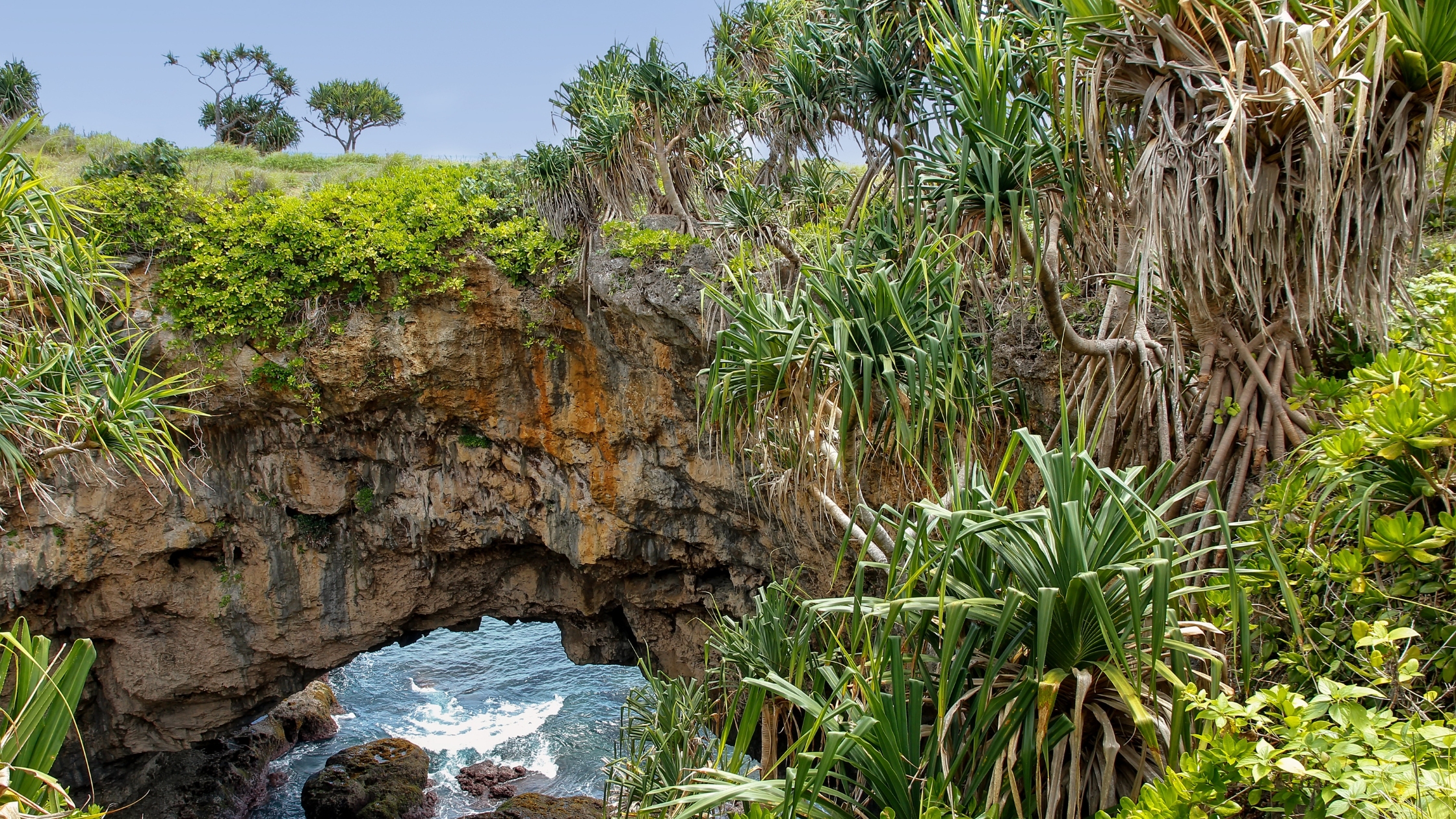 Witness true nature in Tonga like this natural bridge