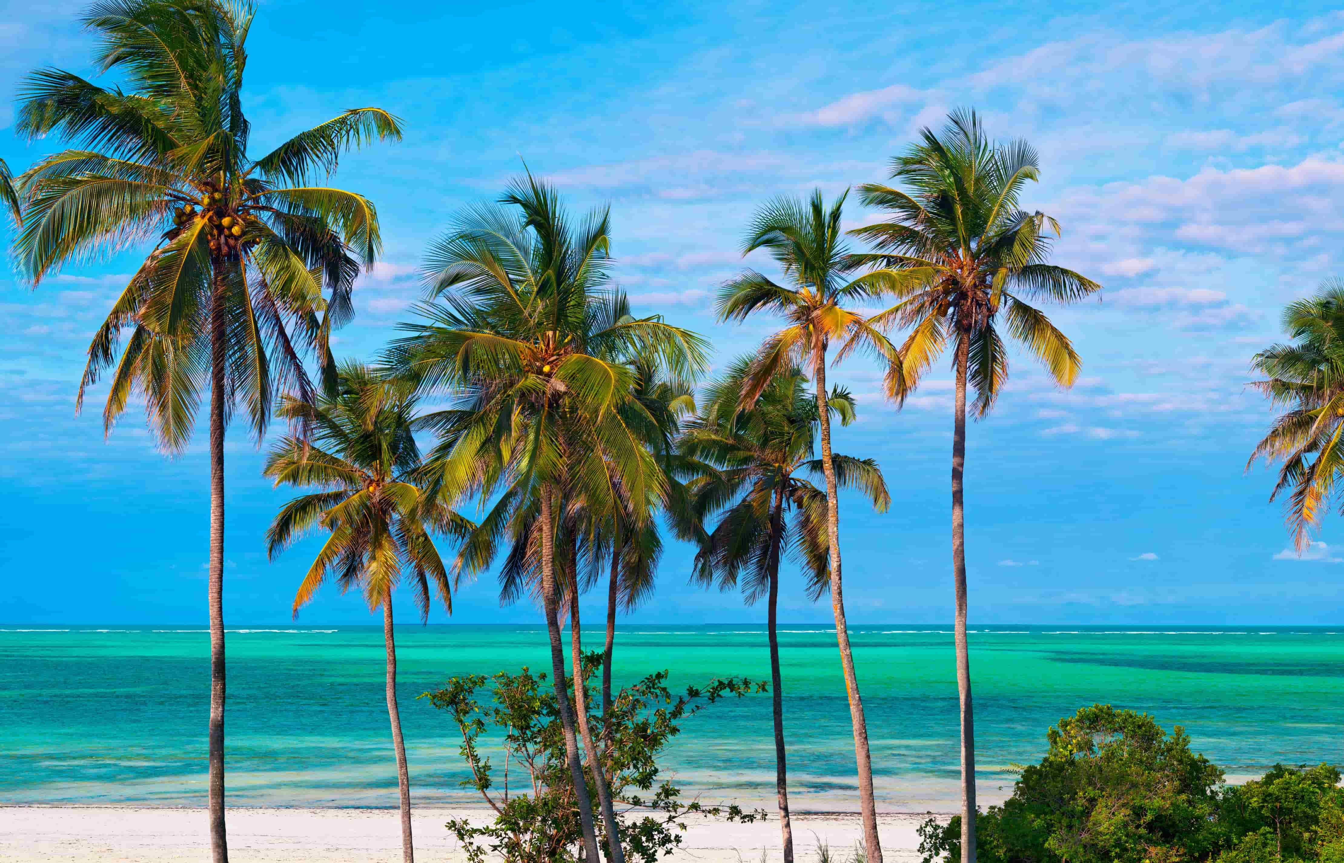 Many travelers include Zanzibar on their itinerary when they travel to Tanzania