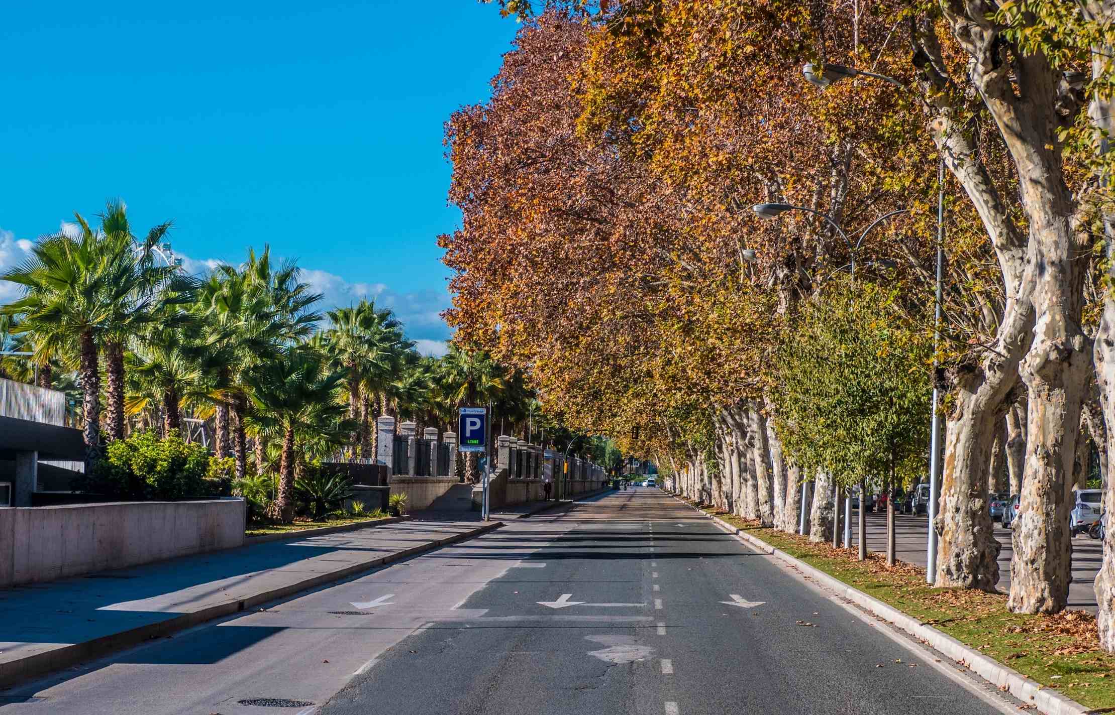 The crowds disappear in the fall in Málaga, Spain