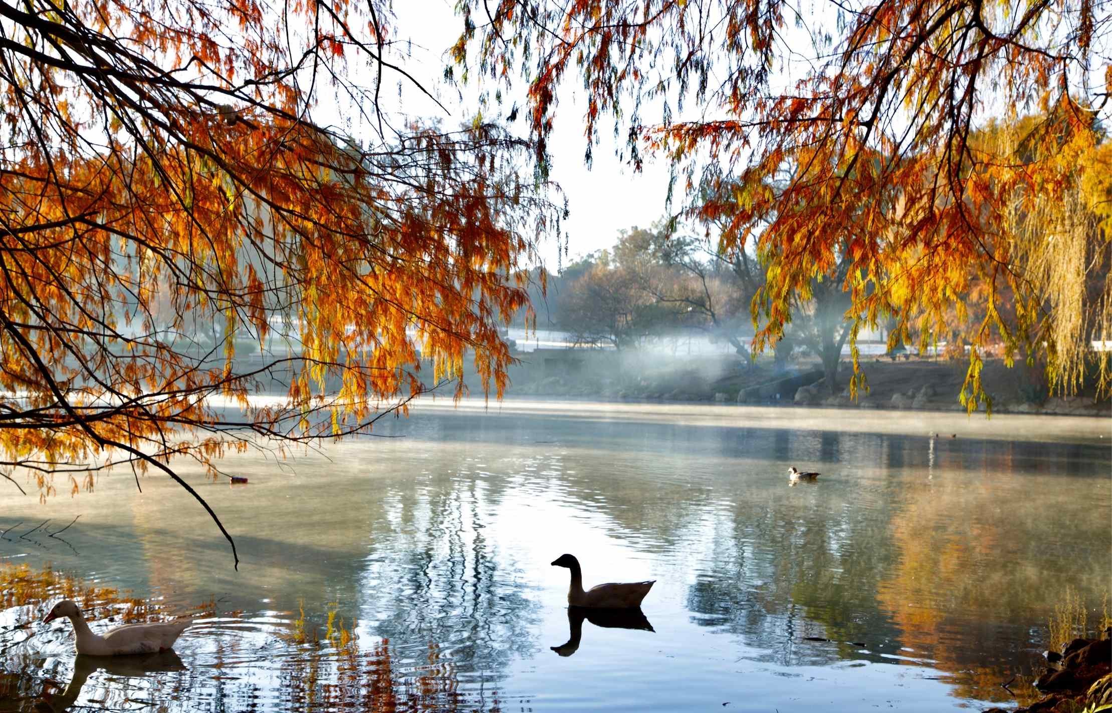 Discover the impressive man-made Zoo Lake in Johannesburg
