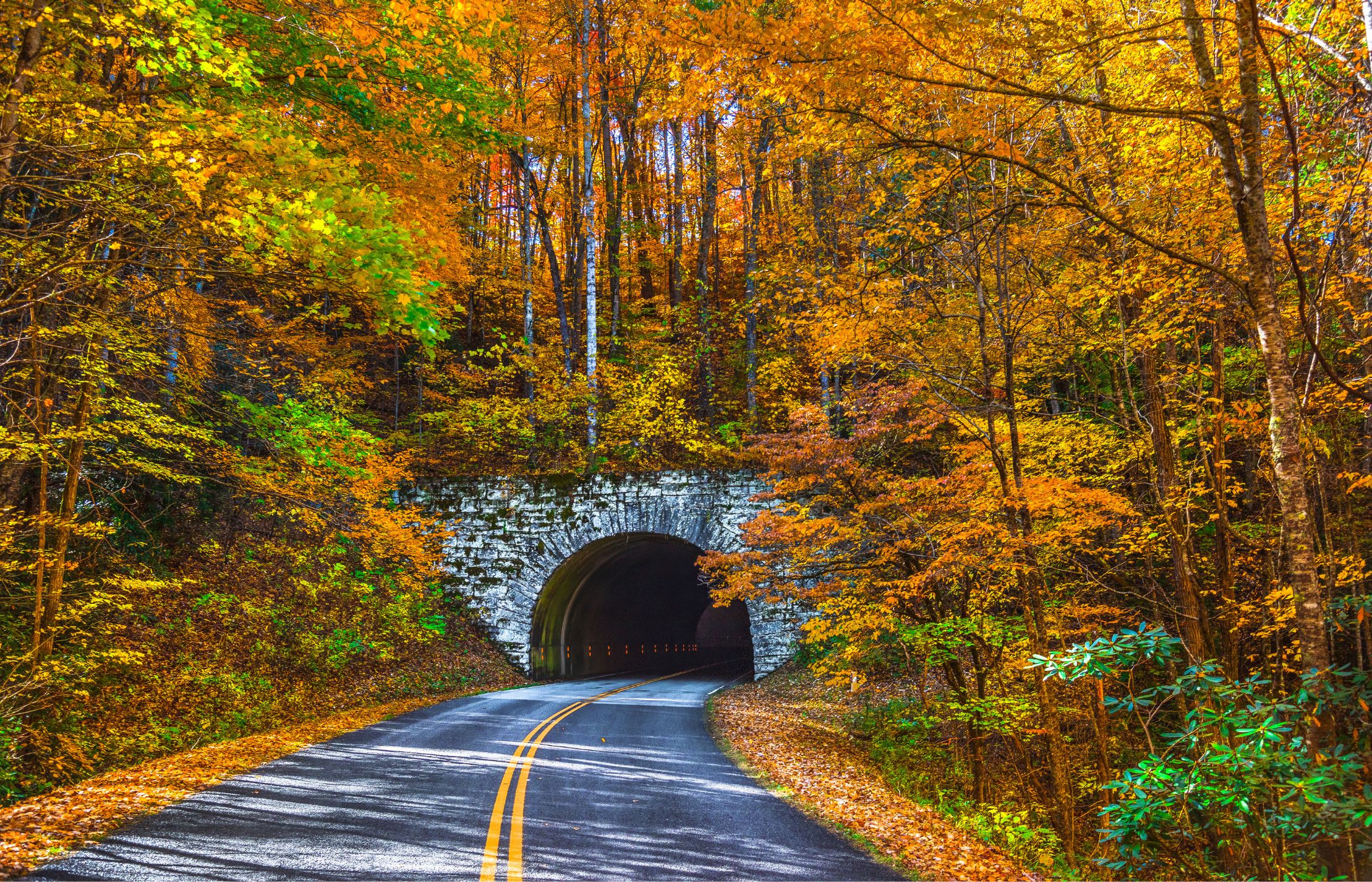 Blue Ridge Parkway is magical during the fall